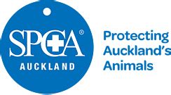 spca auckland 0800 number.